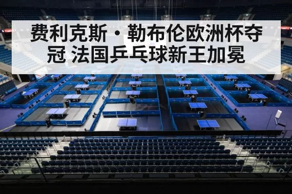费利克斯·勒布伦欧洲杯夺冠 法国乒乓球新王加冕