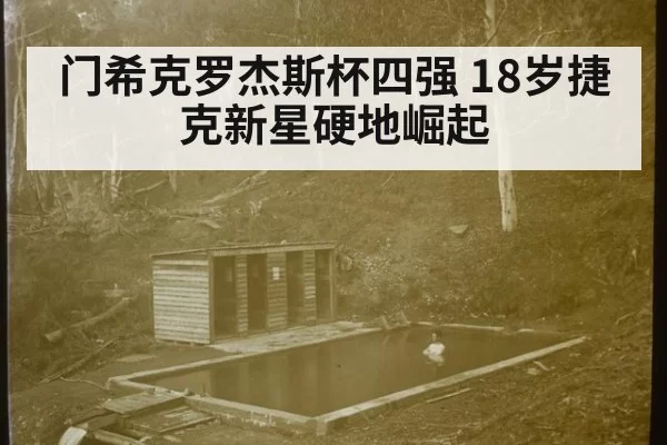 门希克罗杰斯杯四强 18岁捷克新星硬地崛起（hth）