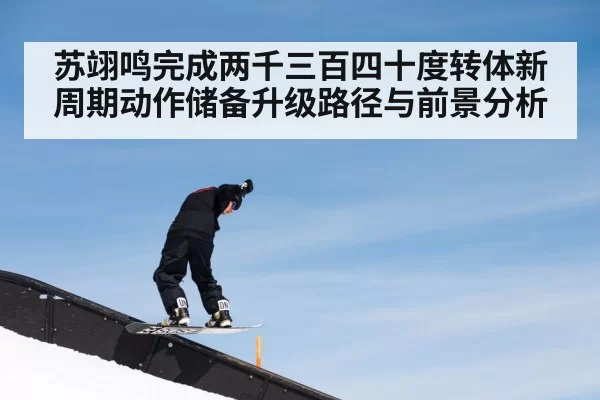 professional snowboard jump halfpipe